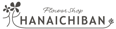 HANAICHIBAN