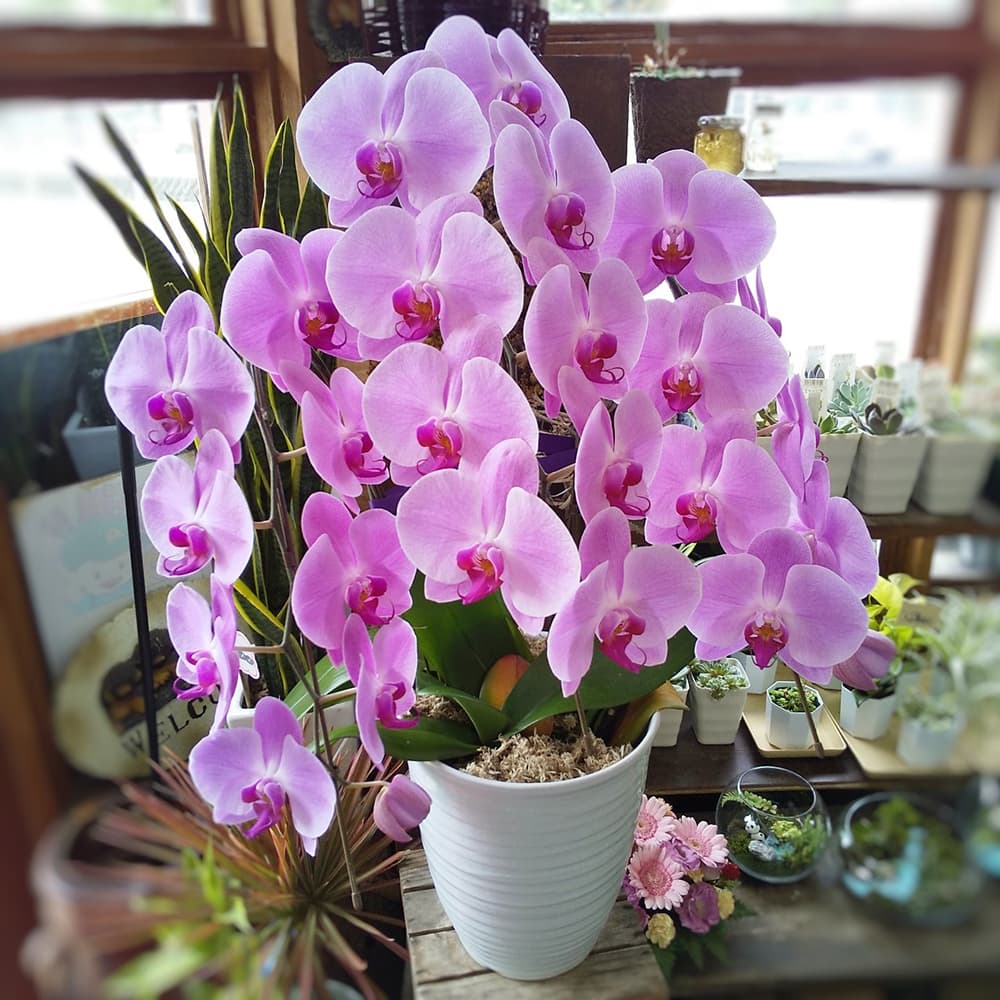 フラワーギフト